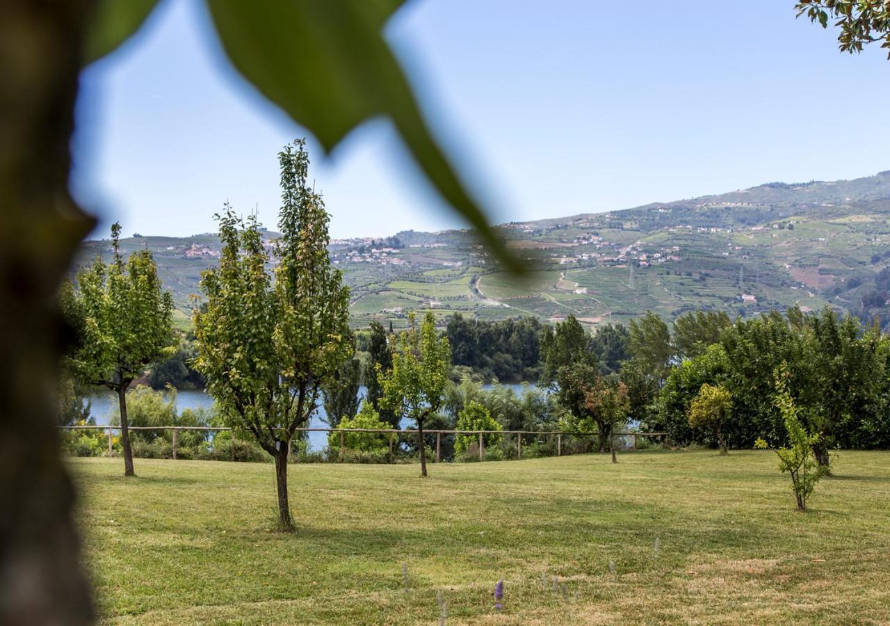 Hotel Columbano Peso da Régua Eksteriør billede