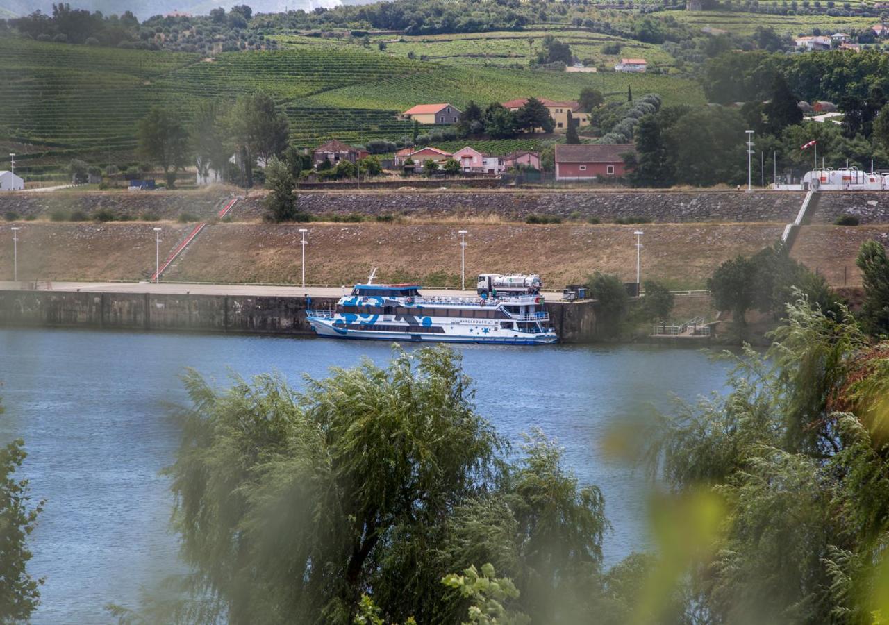 Hotel Columbano Peso da Régua Eksteriør billede